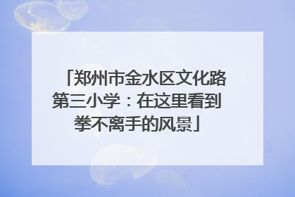 郑州市金水区文化路第三小学：在这里看到拳不离手的风景